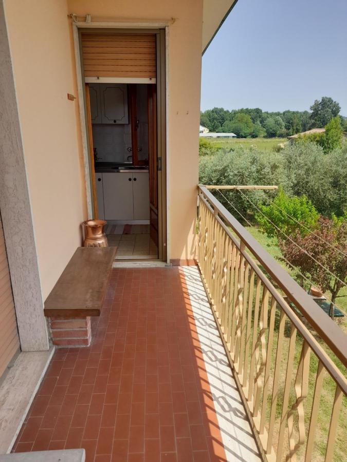 Casa Camelia *