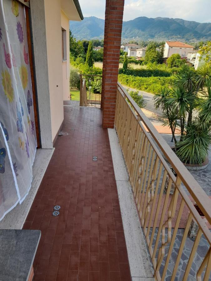 Casa Camelia * Capannori