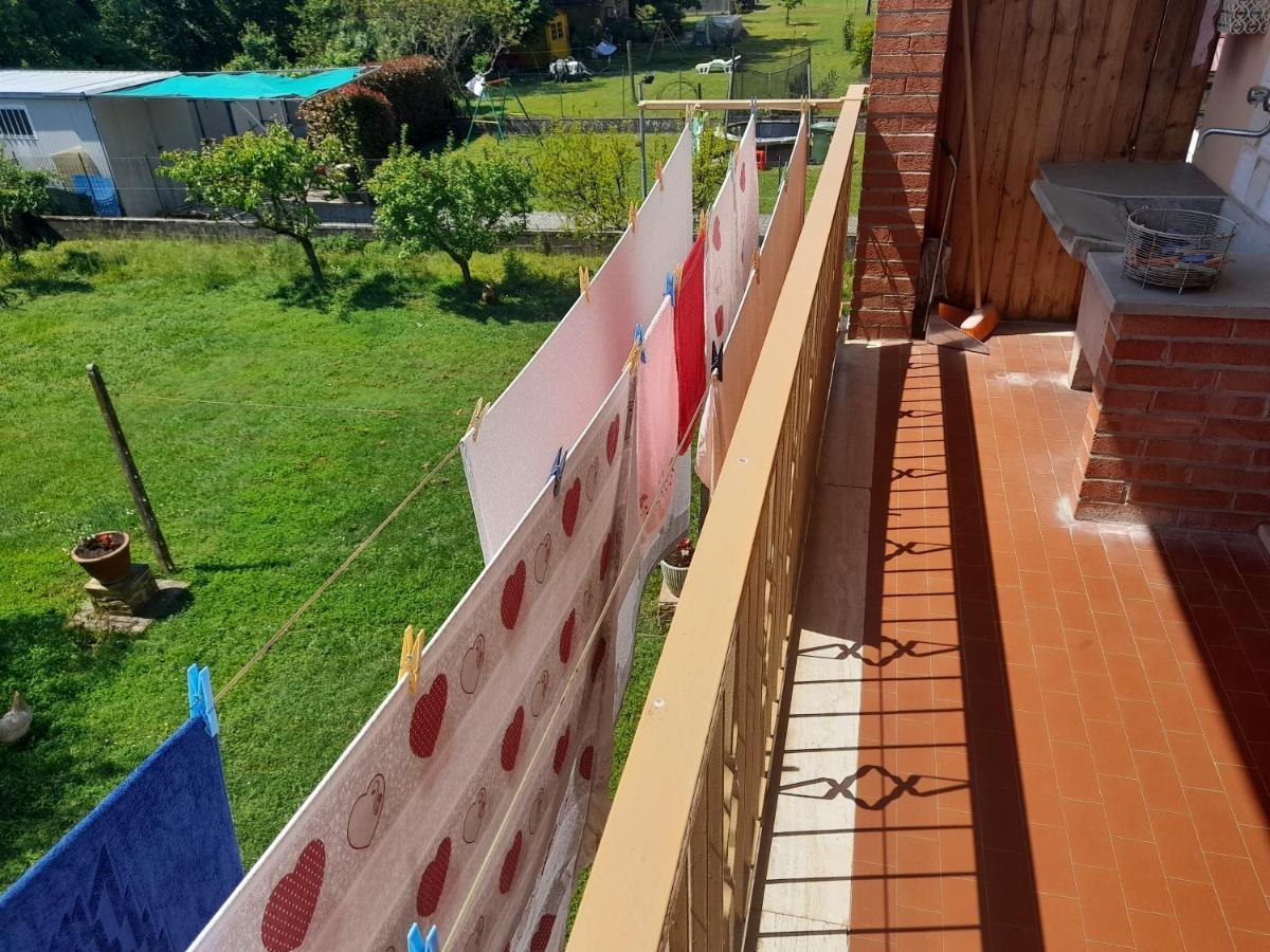 Casa Camelia