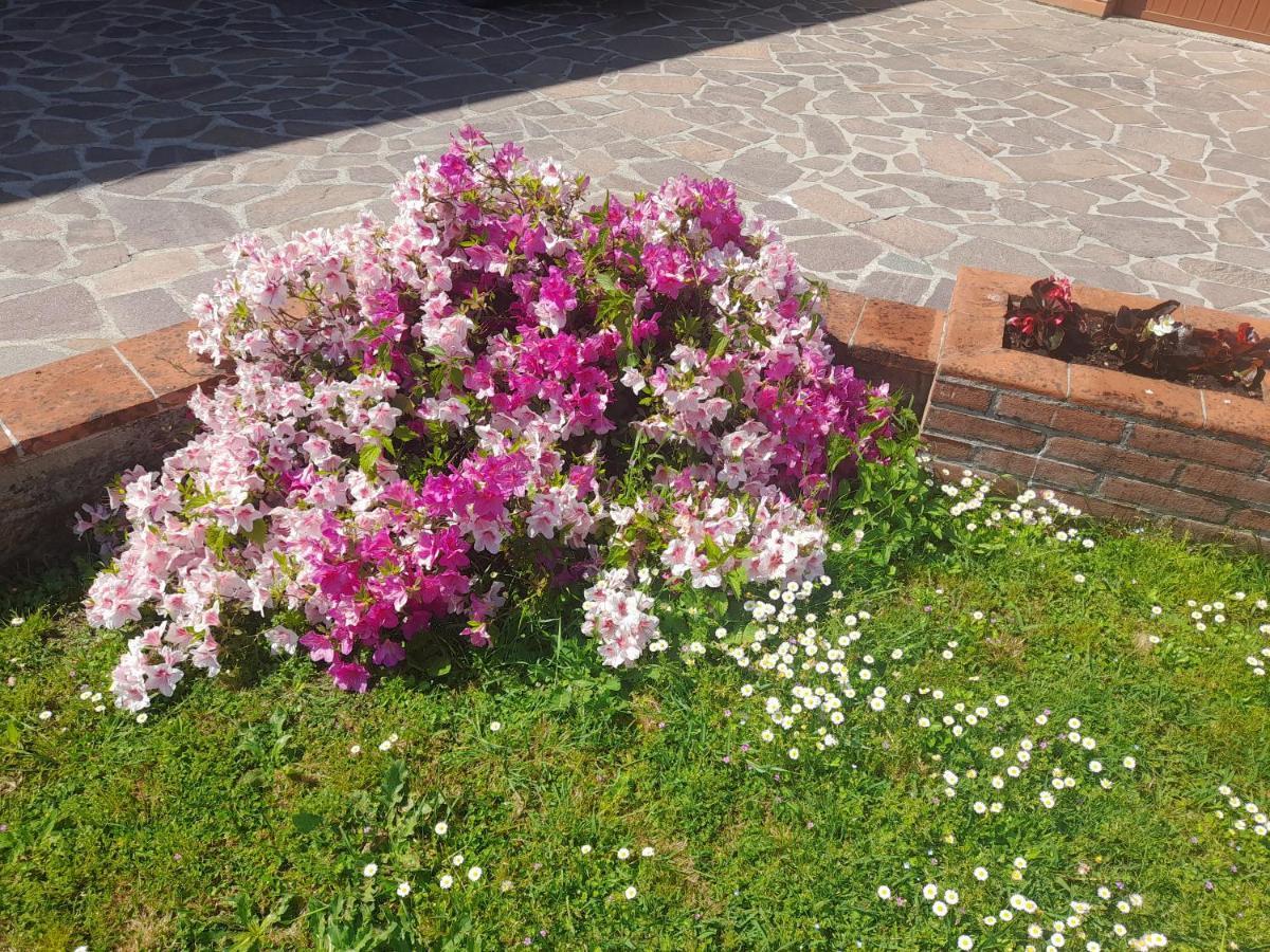 Holiday home Casa Camelia